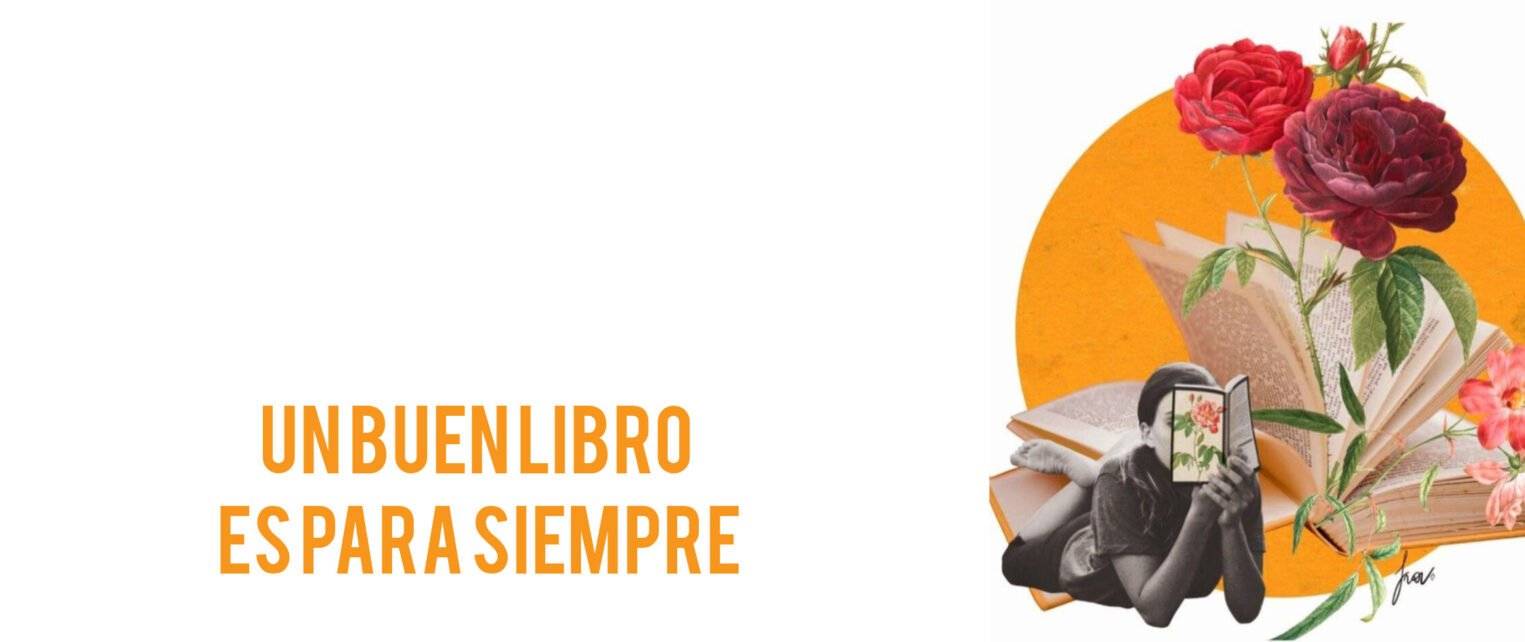 InShot_20251101_104822402